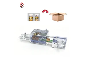 Promotion Price 6 Axis Robotic Automatic Digital Pick Place Case Packer for Chemical Food High Accuracy CE Certified