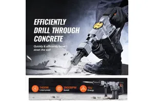 1400W Electric Jackhammer 2pcs Chisels Bits Heavy Duty 2900 BPM Concrete Breaker Power Demolition Chipping Case