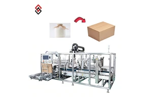 Best Price Eco-Friendly Digital Robotic Pick and Place Carton Erector Packer Sealer Combo with Motor