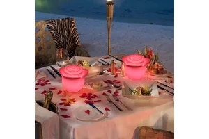 Modern LED Motif Lamp Rose Design Cordless Plastic Body for Home Restaurant Bedroom Decor Dining Area Lighting