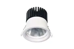 Modern Design 30W LED Cut Hole 97mm COB Downlight 90 CRI Customizable Color Temperature 3-Year Warranty AC 85-265V for Jewelry