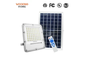 "Factory IP66 Solar LED Floodlight Aluminum Glass 5-Year Warranty Garden Use Hot Sale"