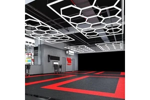 6500K Easy to Instal Detailing Working Light Honeycomb Led Garage Lights for Car Shop and Garage