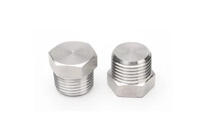 304 316 Stainless Steel Spigot Pin Npt Bspt Fitting Pipe Size Hex Head Plug 1/4 3/8