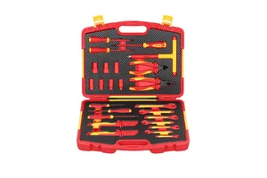 Professional 25-Piece Insulating Ratchet Hand Tool Set Anti-Electric Shock Plastic Case Electrical Repair Maintenance OEM