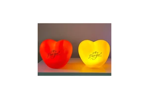 Uniquely Designed Indoor Plastic Valentine's Day LED Decorative Lighting with Limited Time Discounts