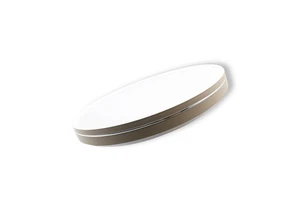 Modern Simple Smart 3Cct Living Room Ultra Thin Round Led Three-Defense Ceiling Lamp
