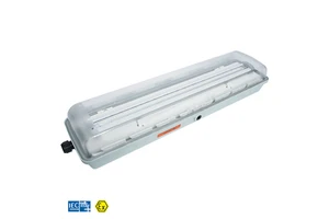 IP66 Single Double Triple Tube Clean Purification Light DC12V 24V AC220V 380V ATEX Explosion Proof LED Fluorescent Lamp