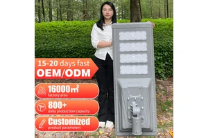 Aluminium Smart 220lm/W Solar Lights Outdoor Lighting Motion Sensor Waterproof 100W 200W 300W All in One Solar Street Light