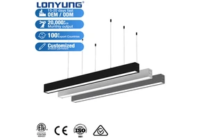 Lonyung CE ETL RCM Indoor Office Shop 4ft 8ft Aluminium Heat Sink Linkable Suspended Commercial Black Led Linear Light