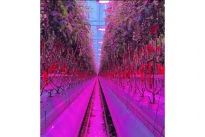 Soteng Aluminum LED Canopy Lighting Multi-Span Greenhouse Indoor Farming Large 100W Full Spectrum Lateral UV IR Supplemental