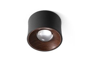 Walnut Wood Grain Decorative Small LED Ceiling Lamp Ceiling Light Downlight for Living Room Corridor Home Living Room Kitchen