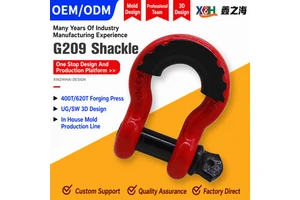 High Strength Marine Grade Stainless Steel Bow Shackle D Shackle Screw Pin Rigging Shackle For Offshore