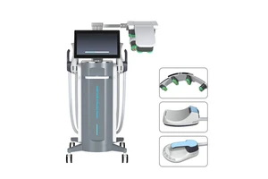 Newset 2 in 1 10D Laser Green Red Light 532nm 635nm With Four Handles EMS Body Muscle Shaping Machine