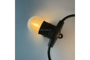 Outdoor Fixed G45 Frosted Festoon Lights Removable E27 Lamp IP65 Waterproof CE ROHS UKCA Approved