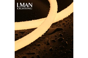 Landscape Lighting High CRI 80 Ra 50 Meter Roll Round SMD 2835 Outdoor Waterproof LED Neon Light