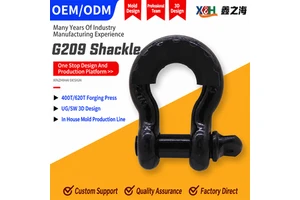 Custom High Quality Alloy Steel Screw Pin Anchor Shackle Bow Shackle Ce Certified Rigging Shackle
