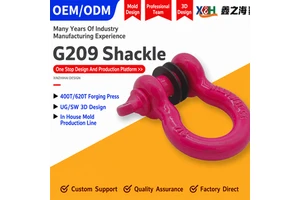 Heavy Duty High Strength Stainless Steel 304 Carbon Steel Drop Forged Anchor Shackle Screw Pin Bow Shackle Rigging Shackle
