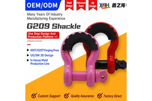 Heavy Duty Alloy Steel Hot Dip Galvanized Bow Shackle Anchor Shackle Screw Pin Rigging Shackle