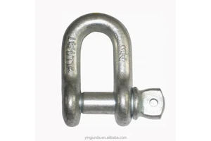 High Strength Shackle Rigging Hardware Pin Chain U Bolts Galvanized D Shackles