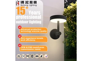 High Quality Solar Wall Lamp with Long-Lasting LED Chips for Bright Outdoor Garden Lighting IP65 AC Power Supply