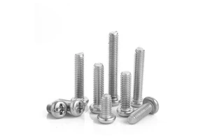 Huayuanxing 304 Stainless Steel Head Pan Head Metric Machine Screw Bolt Lengthened M3/M4/M5/M6/M8 Level 6.8 Inherent Finish