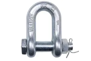 High Strength Shackle Joing Shackle Marine Shackle