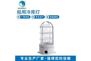 Marine Tri-Proof Light Moisture-Resistant and Corrosion-Resistant CCD16 Lighting Fixture for Cold Storage Marine Use