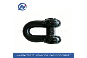 Factory Direct Forged Alloy Steel D-Type Link Shackle Galvanized WLL Marked Heavy Duty Lifting Shackle Metric OEM Custom