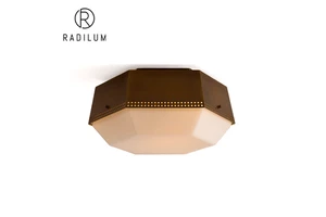 Brass Flush Mount Light Modern Luxury Art Deco Perforated Brass Glass LED Factory Wholesale Crossborder Trousdale Flush Mount