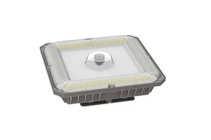 Wholesale IP65 Waterproof High Efficiency Multi-Functional LED Grow Under Canopy Lights with 5-Year Warranty for Gas Station