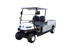 ZYCAR Brand New Muti-Color Electric Mini Pickup Truck For Farm Golf Car