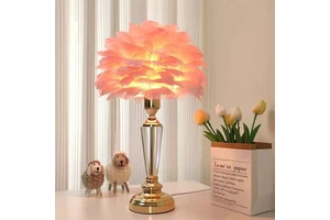 LED Feather Night Light Atmospheric fairy Fashion Desk Light Living Room Bedroom Party Wedding Christmas Decoration