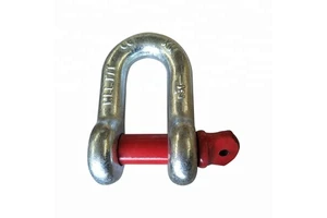 US Type Drop Forged Anchor D Shackle