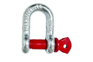 Wholesale High Quality Galvanized Rigging Hardware Type Lifting Shackles Screw Pin Bolt Pin Bow Shackles D Shackles