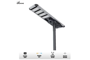 Professional Manufacturer All-in-One Solar Powered Street Light with 4-in-1 Control, 6W/50-110W Panel Solar Road Lamp