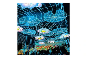 Customizable Outdoor Waterproof Decorative Colorful Lights by Manufacturers for Festivals and Holidays