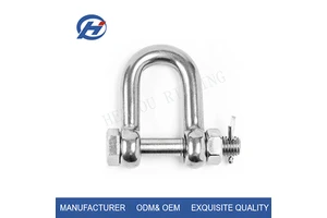 Stainless Steel D-Shackle Nut Straight Lifting Shackle 304/316 Rigging Hardware Marine Offshore Chemical Mining Industry WLL