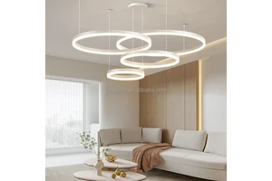 Customization Circle Curve Linear Suspended Aluminum LED Profile Ring Light For Indoor Use With Dimmable Feature