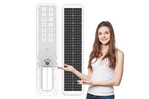LED Monocrystalline Silicon Solar Light Outdoor All in One Solar Street Lights Outdoor Waterproof High Quality