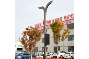 Customized 6M 7M 8M Height Outdoor Smart City Lighting Application Garden LED Smart Street Light
