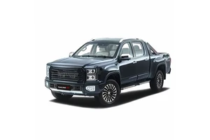 New Diesel and Gasoline Automatic 4X2/4X4 Pick up