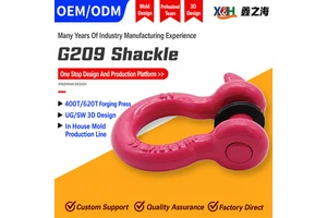 Industrial Grade Stainless Steel 316 High Polished Bow Shackle Screw Pin D Shackle Marine Grade Shackle