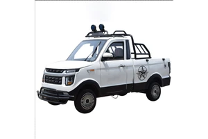 Popular EV Pick up Car Cheap Electric Car /EV Vehicle Made in China