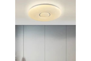 Contemporary Design Ceiling Lamp Home Decor Led Ceiling Light Lighting for Living Room Bedroom