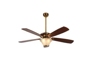 Ceiling Contour Lighting Fan with Remote Control 5 Blades & DC Motor LED Lights for Home Office Use Easy Project Installation