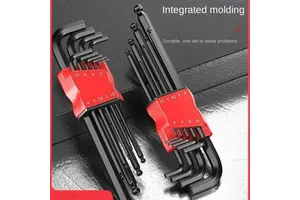 DELIXI SP-22PC High-Strength Carbon Steel Combination Hex Wrench Set with Hard Case OEM Surgical Instrument Hand Tool