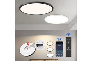 Modern Simple Shape LED Ceiling Lamp Indoor Home Lighting for Dining and Bedroom Simple Bed Room Home Decor