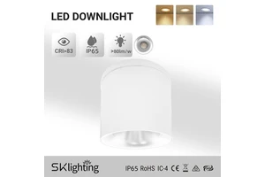 IP65 Surface Mounted Downlight SMD10W 13W 15W 3CCT 3Power Dimmable Die-Cast Aluminum Downlight Corridor Garden Hotel Spotlight