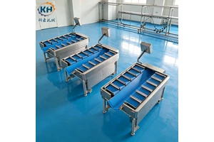 Production Line Upgrading Projects Pick High-performance Multi-station Combined Scale to Raise Overall Factory Output Value